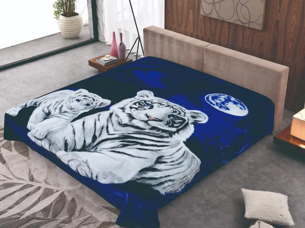 WhatsApp Image 2025-08-22 at 3.39.44 PM.webp